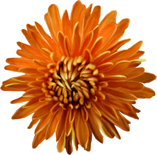 Autumn Witchery (110)