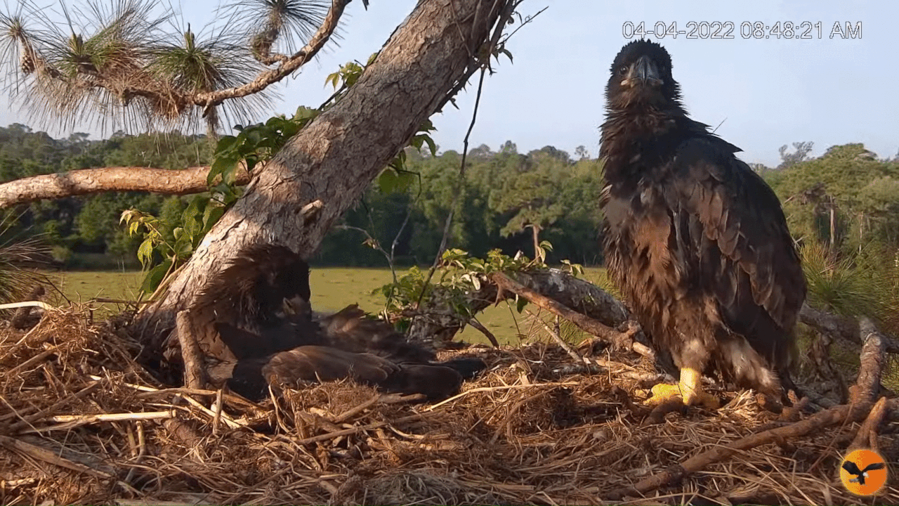 Webp.net-gifmaker (4)