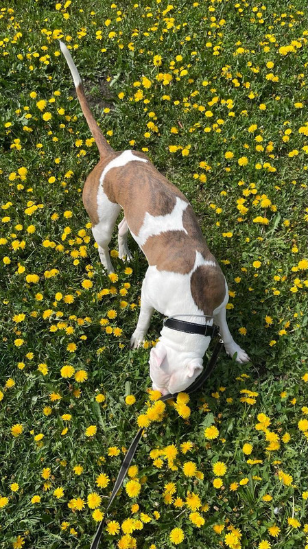 133816CA-A585-4105-80F5-F4A80C326306