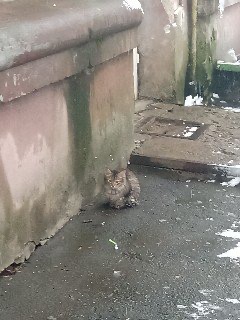 EDB98A61-2FBF-4B1F-BDA3-4E1484DE8C84