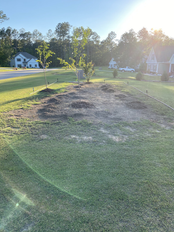 B9955C86-A02B-4EBB-9F92-92E67D7C0A69