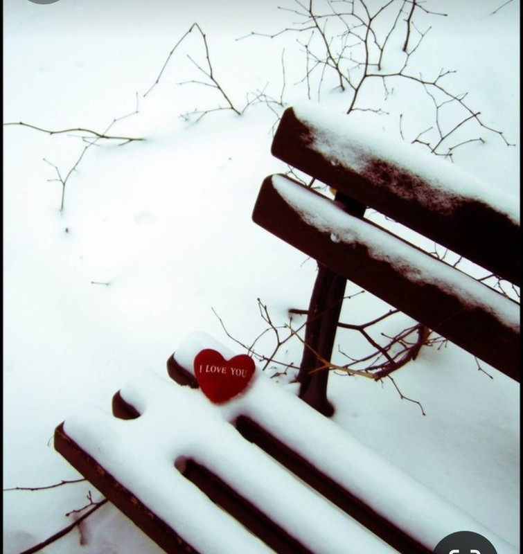 Screenshot_20231121_230137_Pinterest