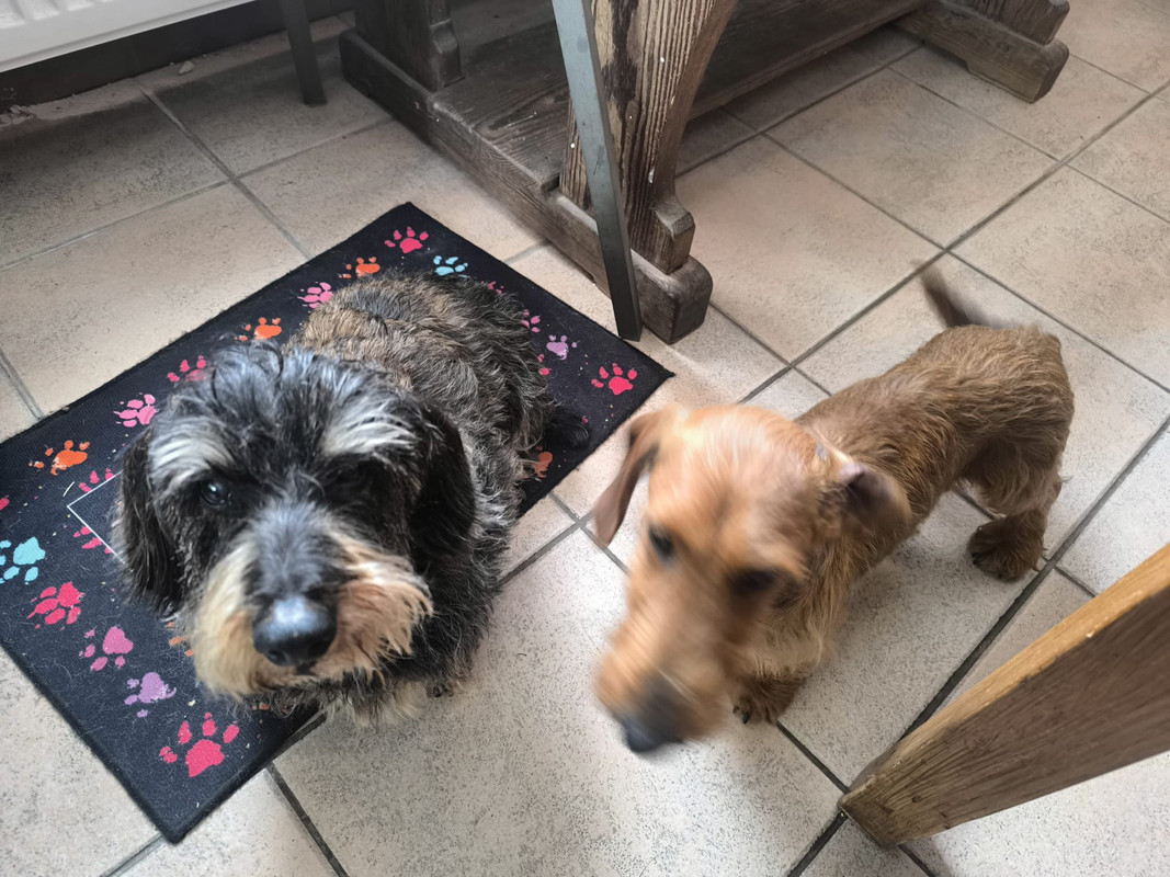 [Image: IMG-20250922-WA0013.jpg]