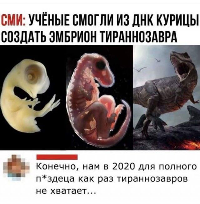 158cea8f1a372487761b1ae3f2e66591.jpg