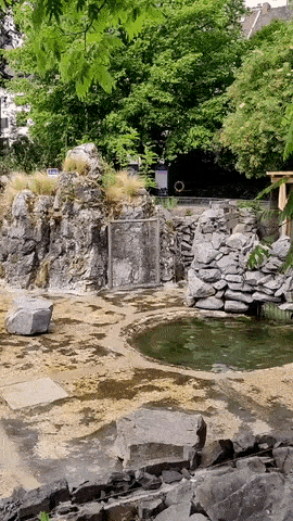 daily-gifdump-3351-07.gif