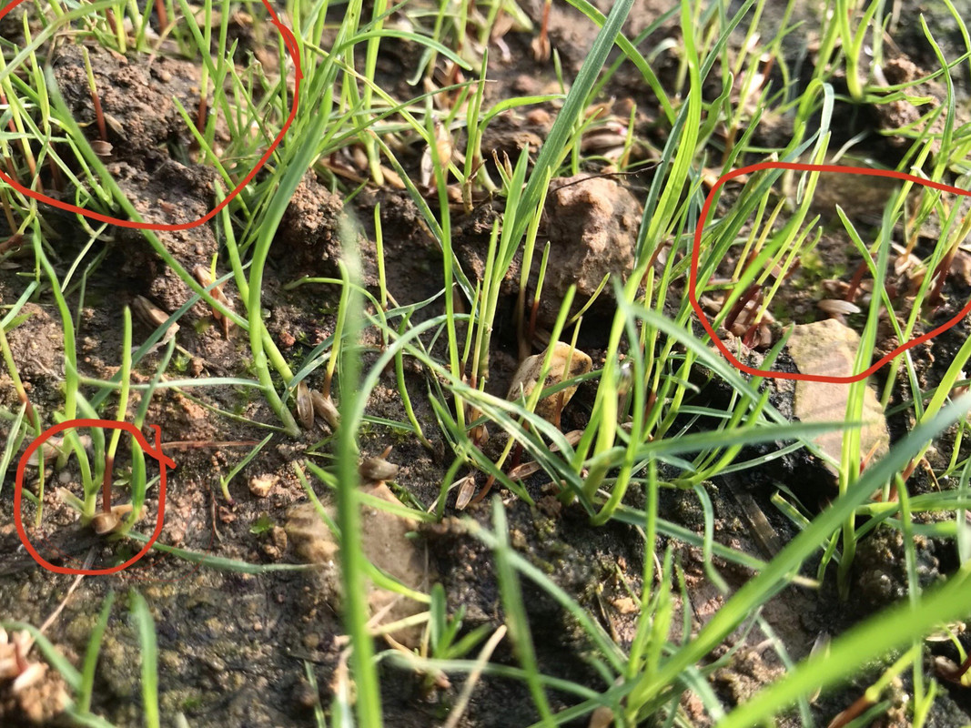 A47BF463-D411-4C76-8910-D37469AC41AA