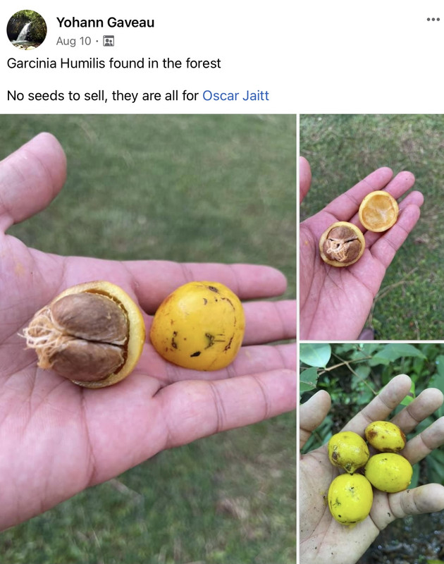 C7776310-533F-4759-A55E-63C74E8BB47D