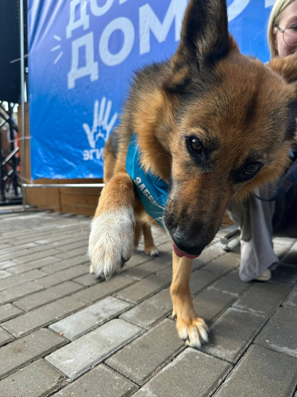 IMG_20250816_232222_906