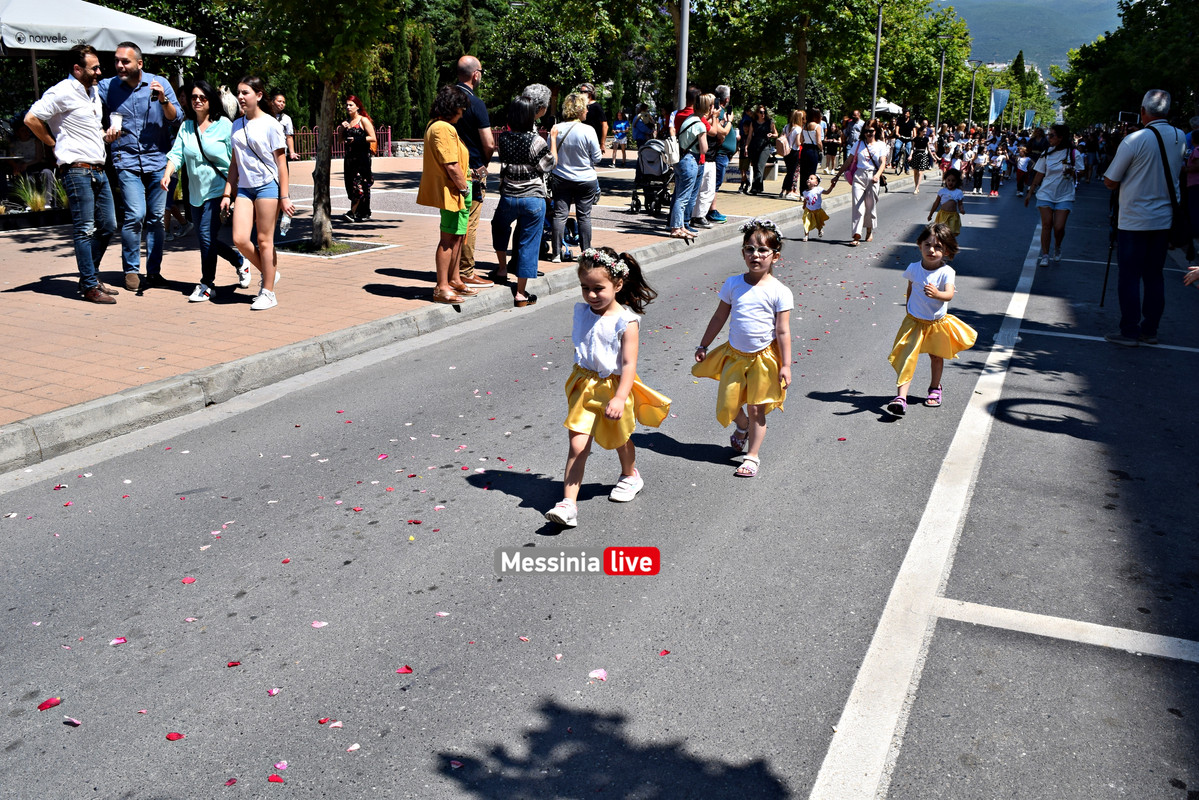 ΛΟΥΛΟΥΔΕΝΙΑ ΠΑΡΕΛΑΣΗ DSC_1479