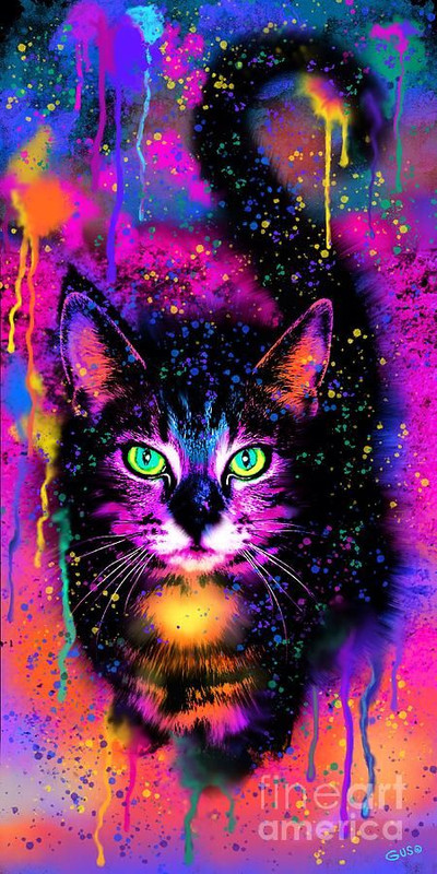 multi-cat-new.jpg
