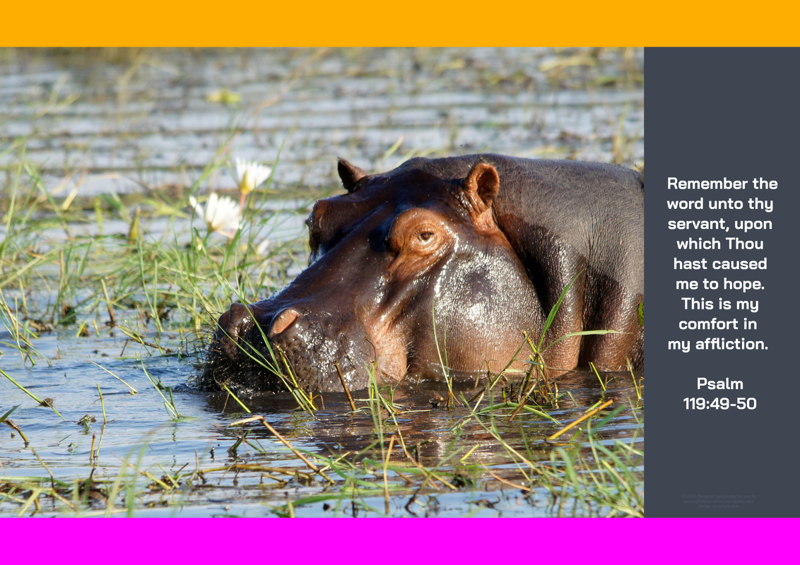 PGFE Safari Poster10 A4