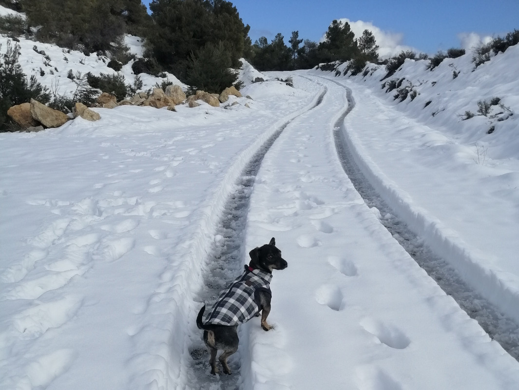 IMG_20200126_115732 ew