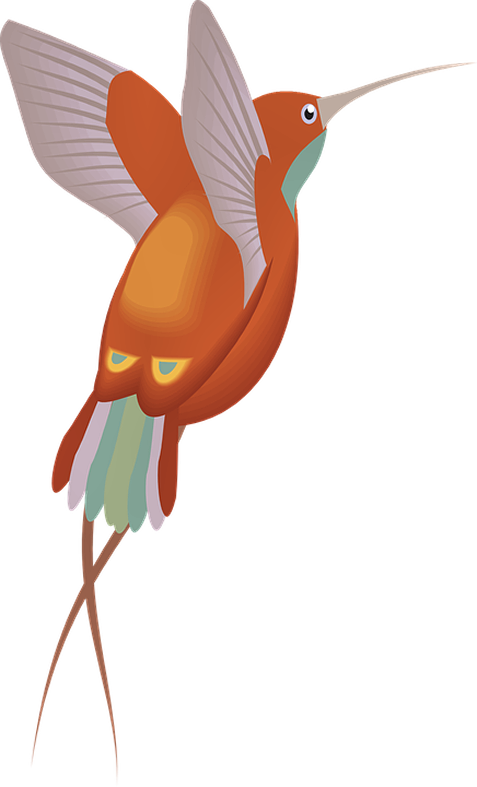 Halloweenpumpkinkitpudnbird