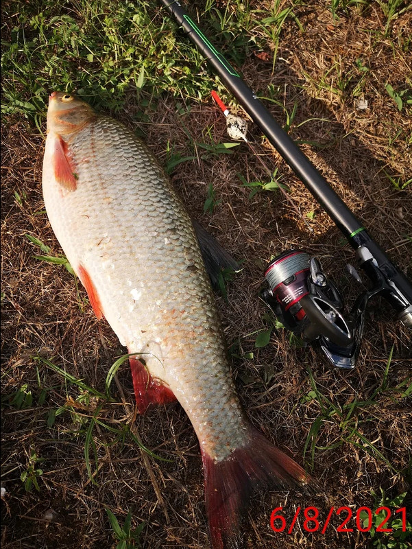 received_1783963891788052(1)