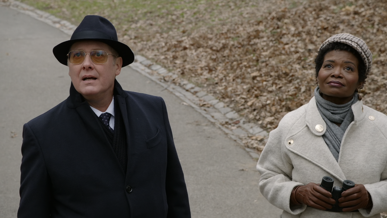 The.Blacklist.S08E08.Ogden.Greeley.1080p.10bit.AMZN.WEB-DL.DDP5.1.HEVC-Vyndros.mkv_snapshot_11.40_[2