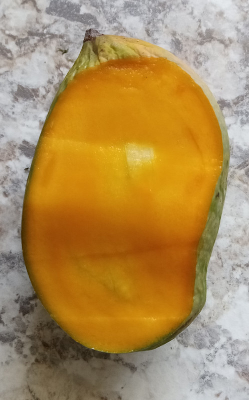 IMG_20240605_075509505~2