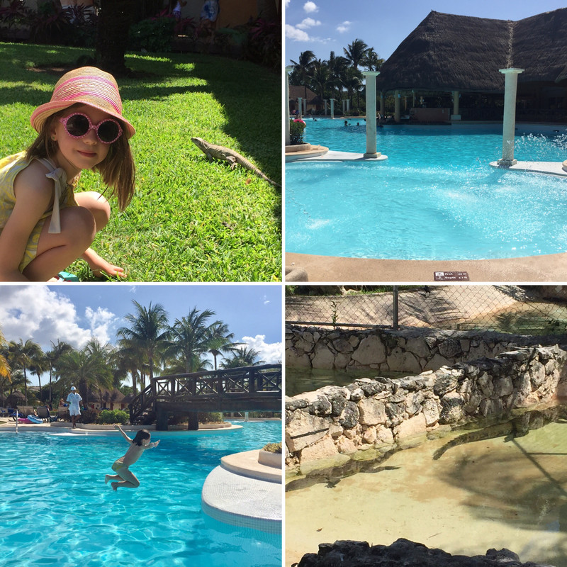 D4ACA62C-E65B-4D30-801F-5AED7C260DA7