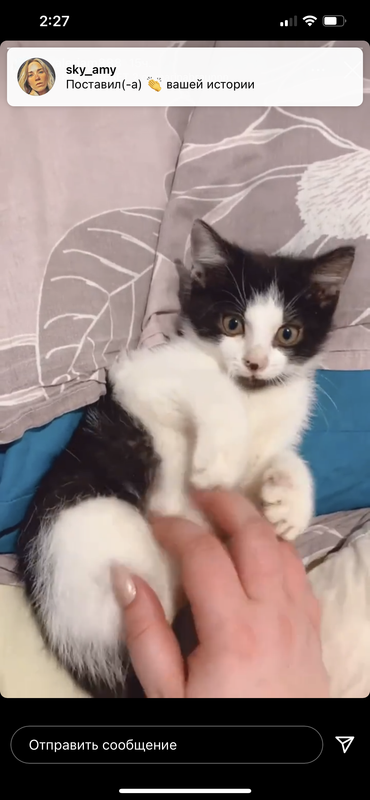 696CD275-8017-4F2F-87B3-6D58E3A3BC18