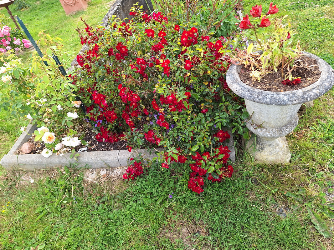 [Image: 20240612-180257.jpg]