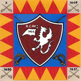 BCav1905