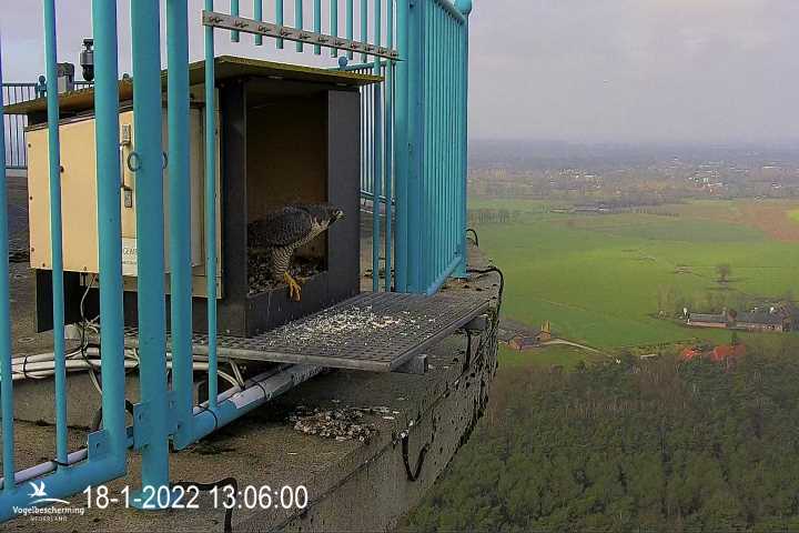 campics vanaf 6 december © VWGGemert en bonusjes van ter plekke - Pagina 29 V1