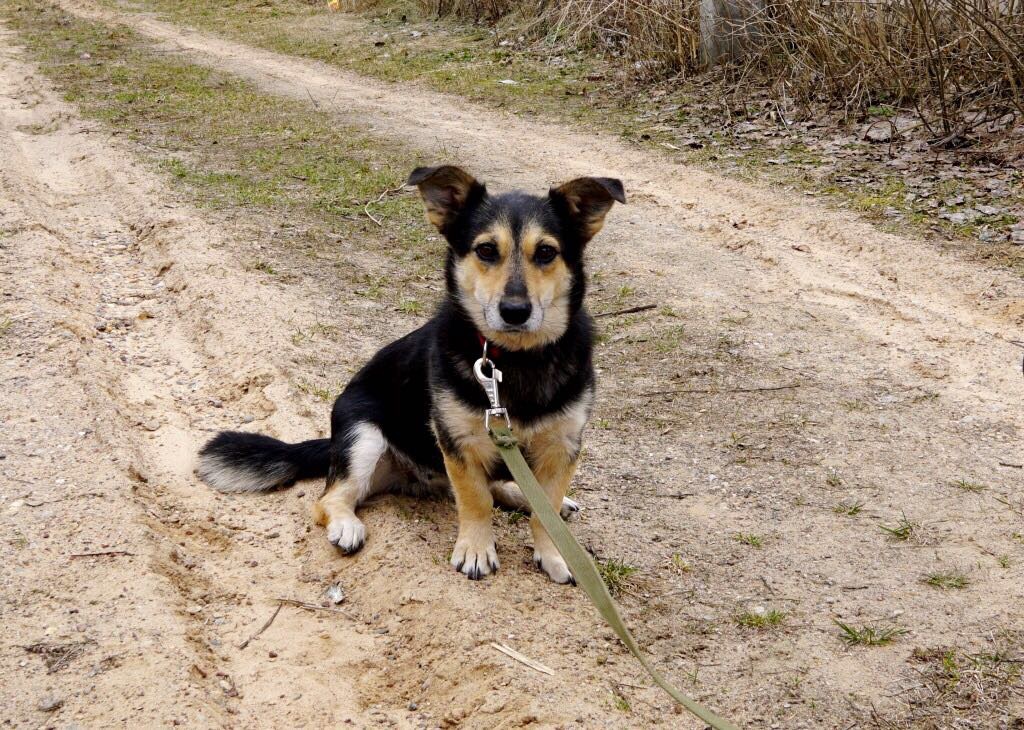 3983DDB4-660C-4F21-B98C-6219BD0F7901