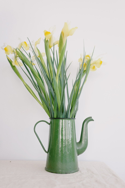 green-pitcher-flowers.jpg