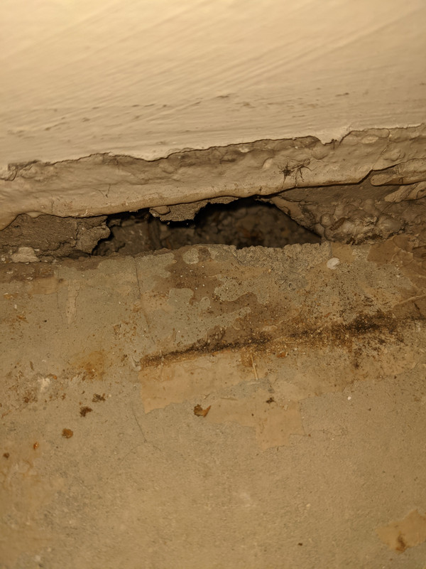 PXL_20221015_211915285