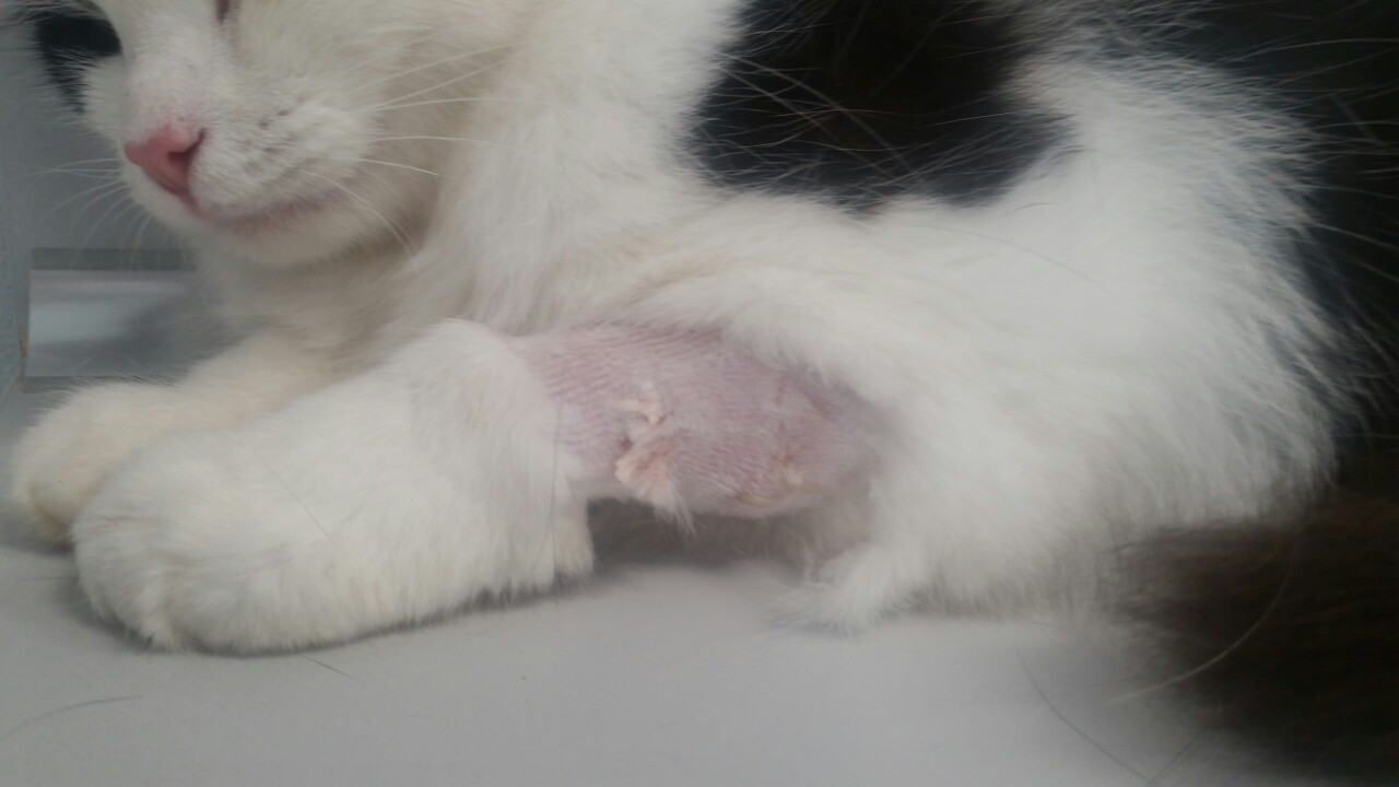 изображение_viber_2019-07-18_20-46-07