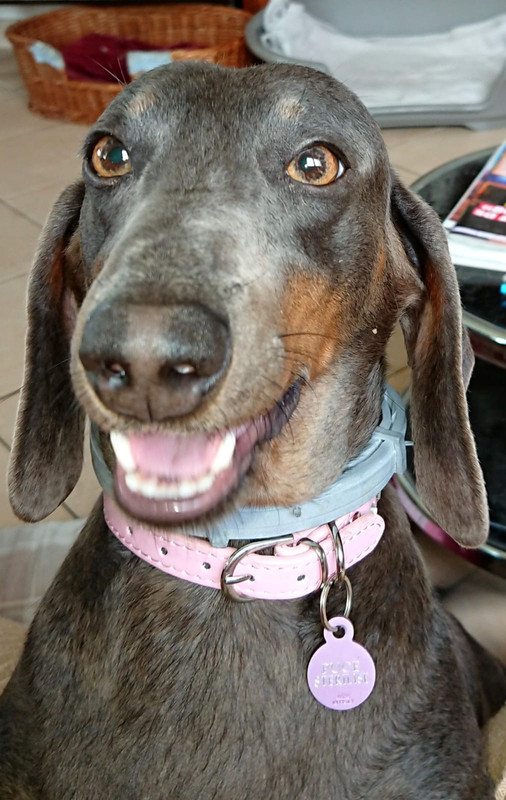 [Image: IMG-20240922-WA0004.jpg]