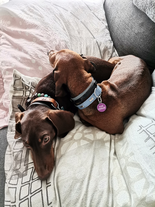 [Image: IMG-20210522-164613.jpg]