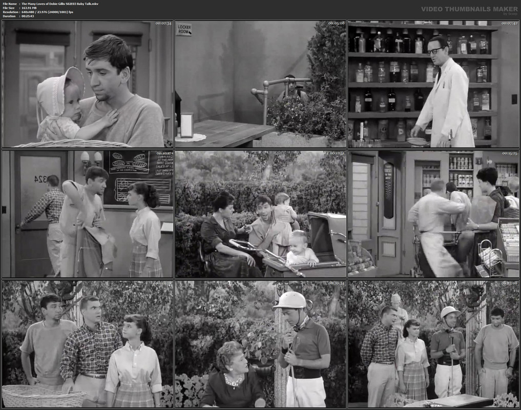 The Many Loves of Dobie Gillis S02E03 Baby Talk.mkv