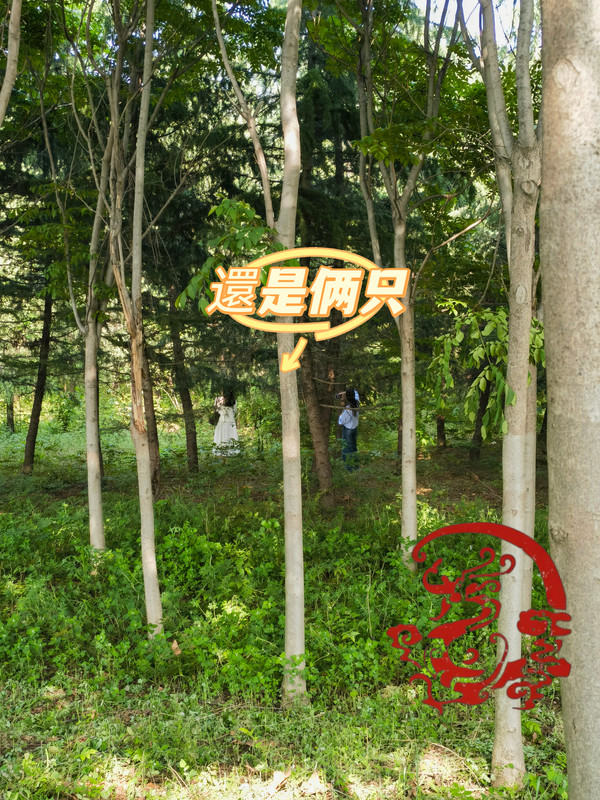 H13