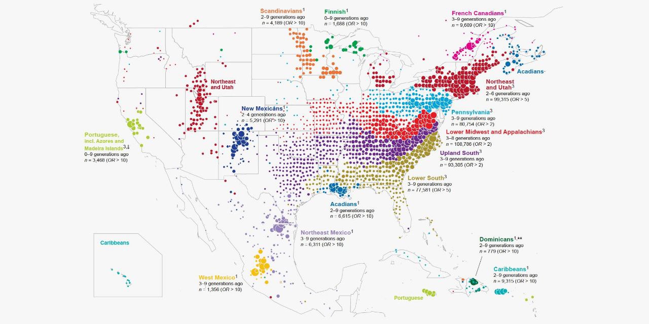 IMG_20240731_033223_249