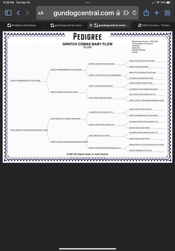 5FC4B6CE-5F19-45ED-94E9-3BA8CDDCDB2F