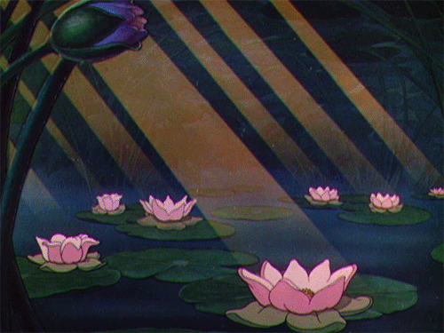 https://i.postimg.cc/RhgWV7F5/image-86190915105657816618.gif