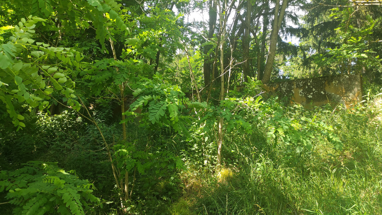 05.11 - IMG_20250619_155118 (Czesio1)