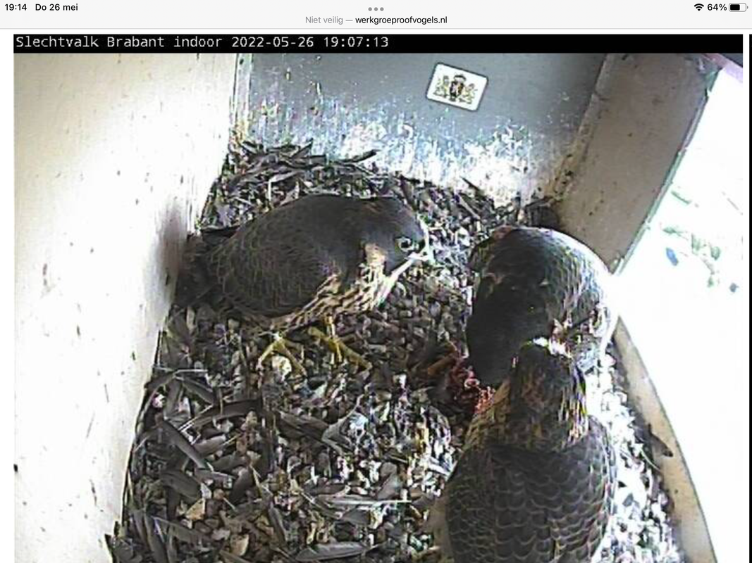 59B72865-AEC1-4643-958A-EBC283CDE91C