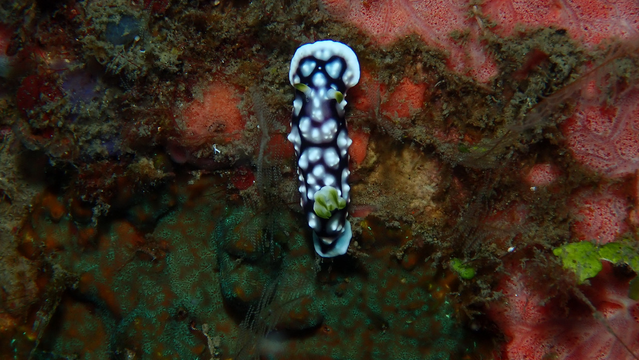 5B0DDCA1-6F2A-434E-9F20-7FB65E3C3A00