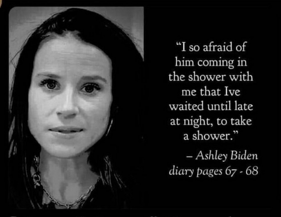 Ashley Bidens Diary