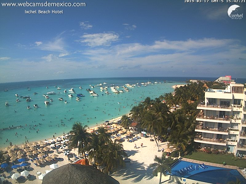 Algas en las playas de Riviera Maya (Sargazo) - Foro Riviera Maya y Caribe Mexicano