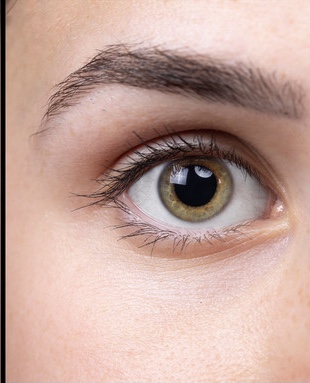 E2D792AC-8C85-49A1-A261-54BF9226977F