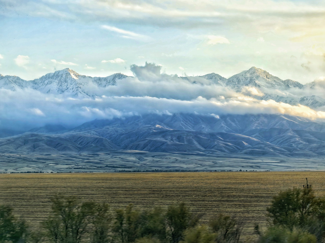 IMG_20241016_165943-01