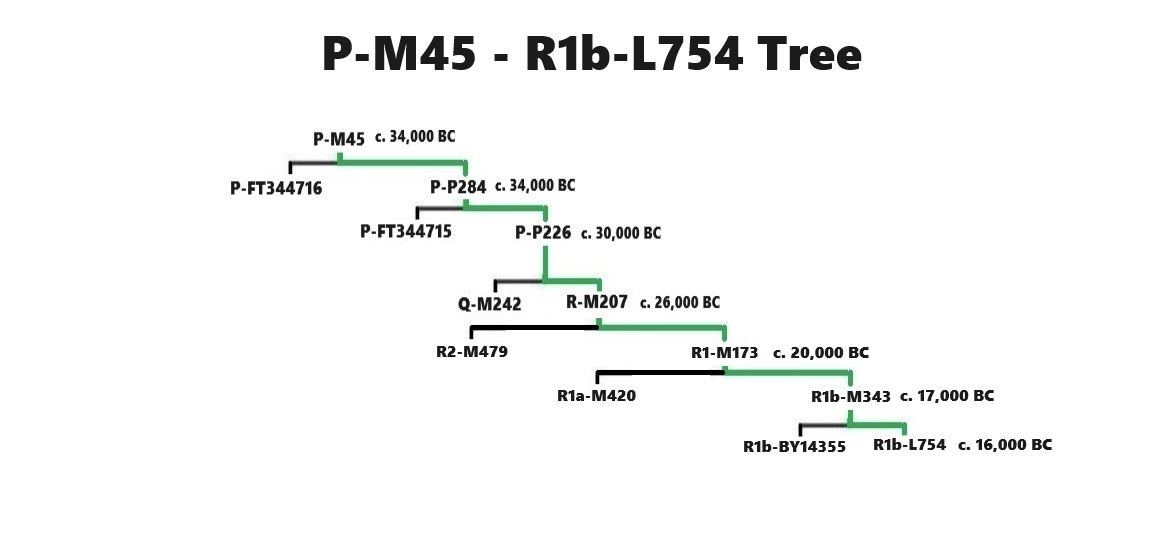 [Image: P-M45-R-M207-early-clades-Descendant-Tree.jpg]