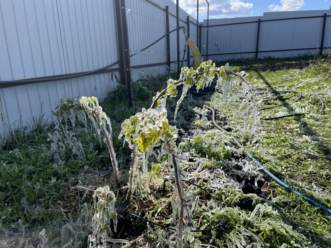 BCEA2DED-92C9-4ABB-B692-3785A583E3A1