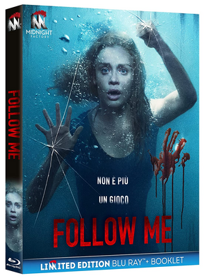 Follow Me (2020) FullHD 1080p ITA ENG DTS AC3 Sub