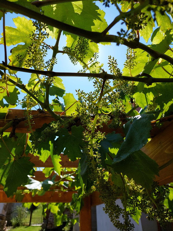 WhatsApp Image 2025-06-14 at 15.36.05 (4)