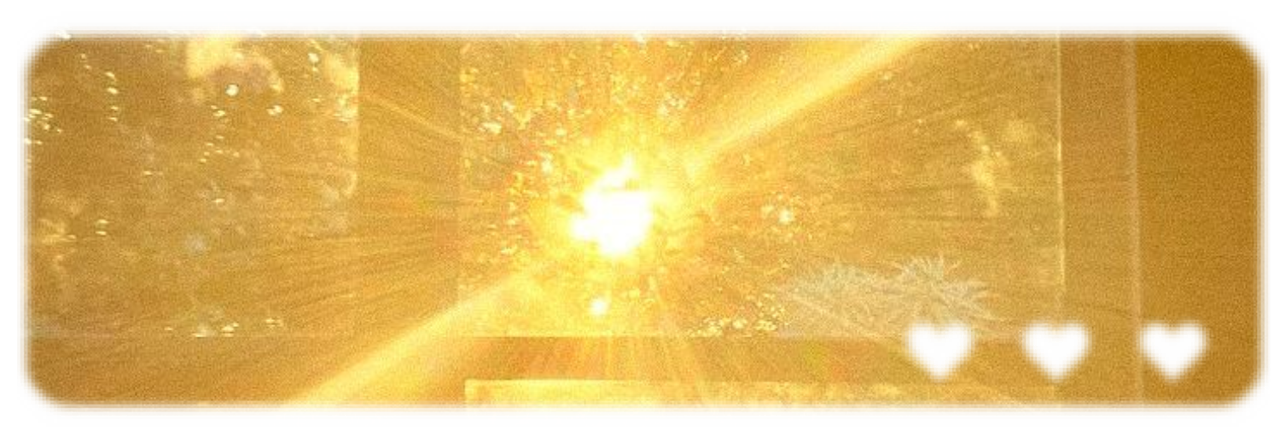 Foolish's banner