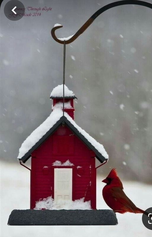 Screenshot_20240124_230636_Pinterest