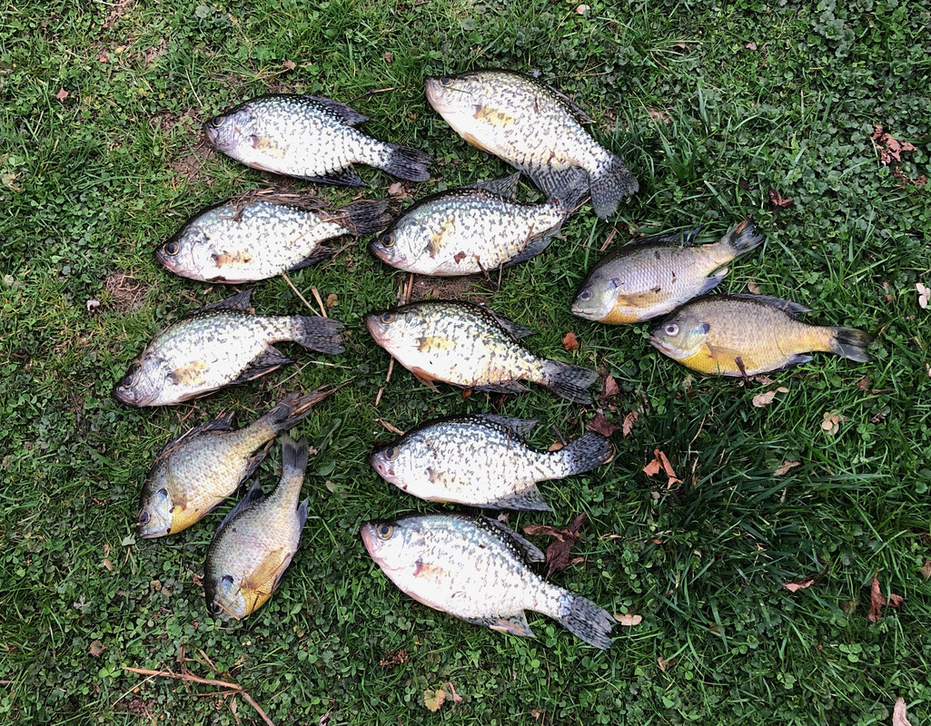 AAEF4A6C-DBA7-4AAB-9E98-7266D8F4F4B6